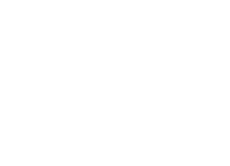 CSELEGATE